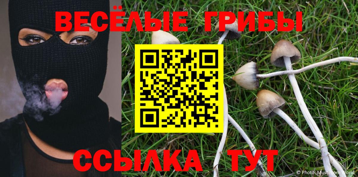 Галлюциногенные грибы MAGIC MUSHROOMS  Псилоцибиновые грибы Psilocybe  Волжский  Вход с VPN 