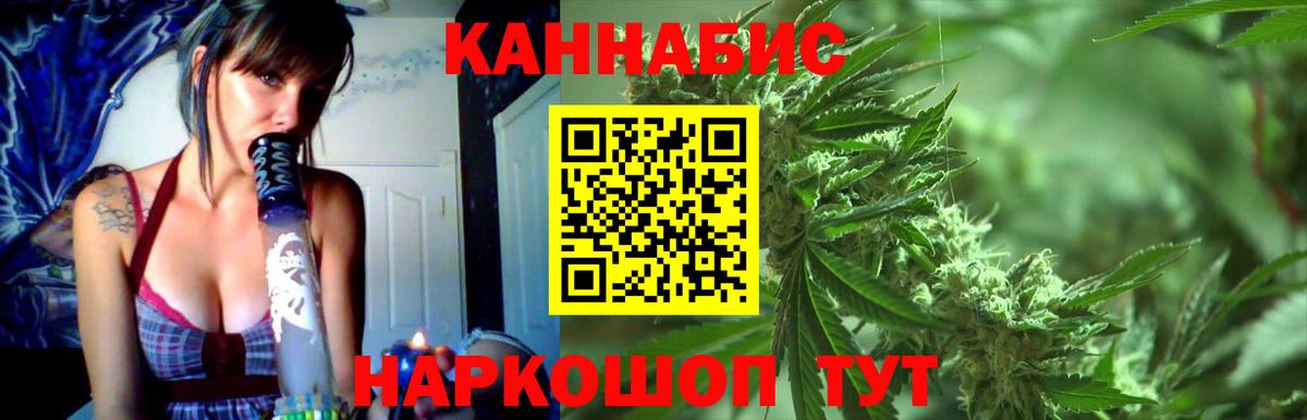 Каннабис гибрид Волжский